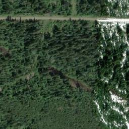 Satellite imagery of Forks Mountain, CA
