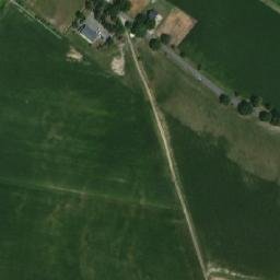 Satelita