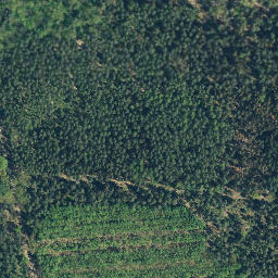 Satellite imagery of Brautberg, DE