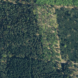 Satellite imagery of Brautberg, DE