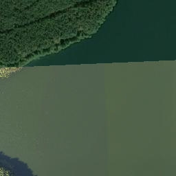 Satelita