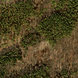 Satellite imagery of Ehrenpfortenberg, DE
