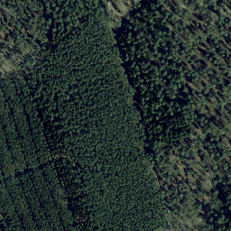 Satellite imagery of Biesower Berg, DE