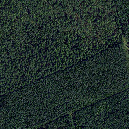 Satellite imagery of Stubbenberg, DE