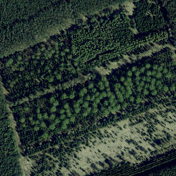 Satellite imagery of Stubbenberg, DE