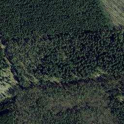 Satellite imagery of Stubbenberg, DE