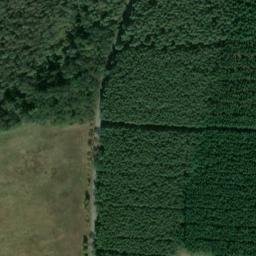 Satellite imagery of Grützberg, DE