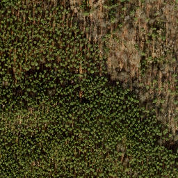 Satellite imagery of Ehrenpfortenberg, DE