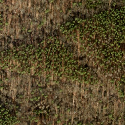 Satellite imagery of Ehrenpfortenberg, DE