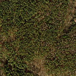 Satellite imagery of Ehrenpfortenberg, DE