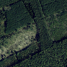 Satellite imagery of Stubbenberg, DE