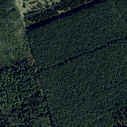 Satellite imagery of Stubbenberg, DE