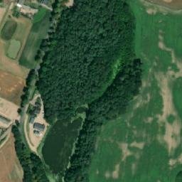 Satelita