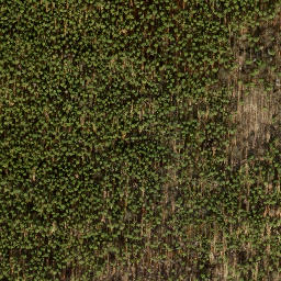 Satellite imagery of Ehrenpfortenberg, DE
