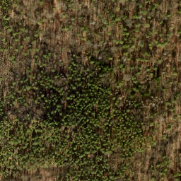 Satellite imagery of Ehrenpfortenberg, DE