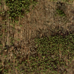 Satellite imagery of Ehrenpfortenberg, DE