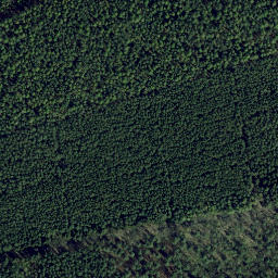 Satellite imagery of Stubbenberg, DE