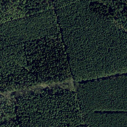 Satellite imagery of Stubbenberg, DE