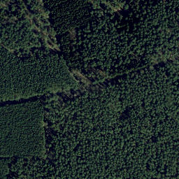 Satellite imagery of Stubbenberg, DE