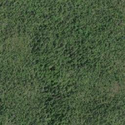 Satellite imagery of Cullum Point, CA