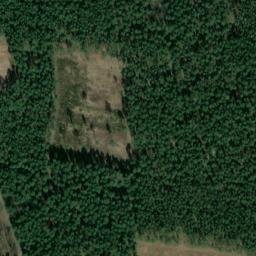 Satellite imagery of Grützberg, DE