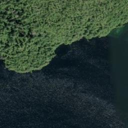 Satellite imagery of Cullum Point, CA