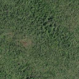 Satellite imagery of Cullum Point, CA