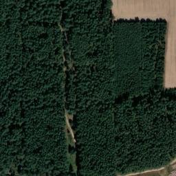 Satellite imagery of Rentgertsberg, DE