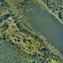 Satelita