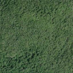 Satellite imagery of Saunders Point, CA