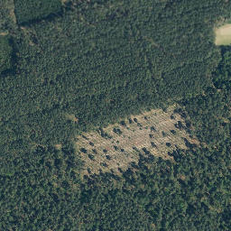Satellite imagery of Dreiensberg, DE