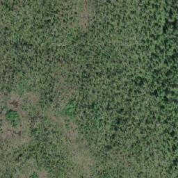 Satellite imagery of Tildesley Point, CA