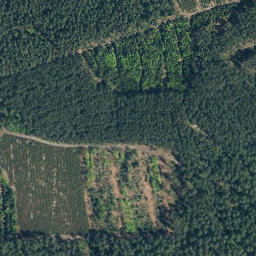 Satellite imagery of Dreiensberg, DE