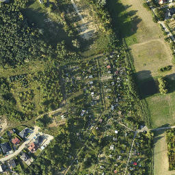 Satelita