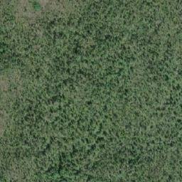Satellite imagery of Tildesley Point, CA