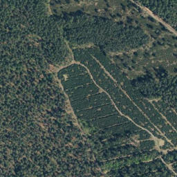 Satellite imagery of Dreiensberg, DE