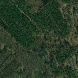 Satellite imagery of Markgrafenberg, DE