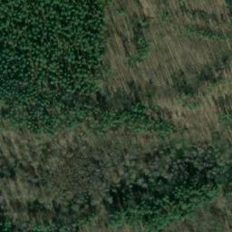 Satellite imagery of Papenberge, DE