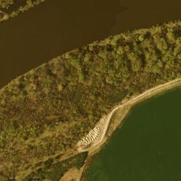Satelita