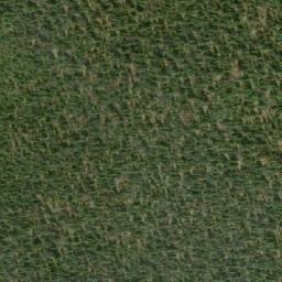 Satellite imagery of Junction Mountain, CA