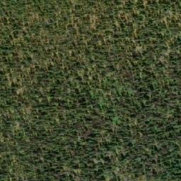 Satellite imagery of Junction Mountain, CA