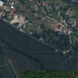 Satelita