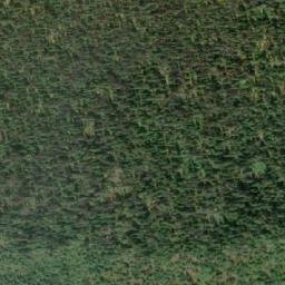 Satellite imagery of Junction Mountain, CA