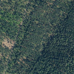 Satellite imagery of Stüberg, DE