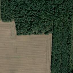 Satellite imagery of Loofberg, DE