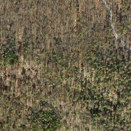 Satellite imagery of Reiherberg, DE