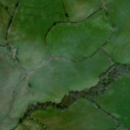 Satellite imagery of Ritton Castle, GB