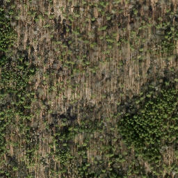 Satellite imagery of Reiherberg, DE