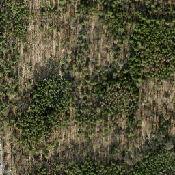 Satellite imagery of Reiherberg, DE