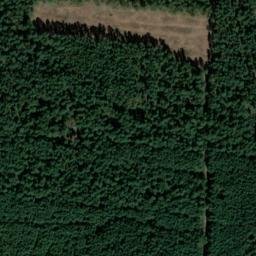 Satellite imagery of Falkenberg, DE